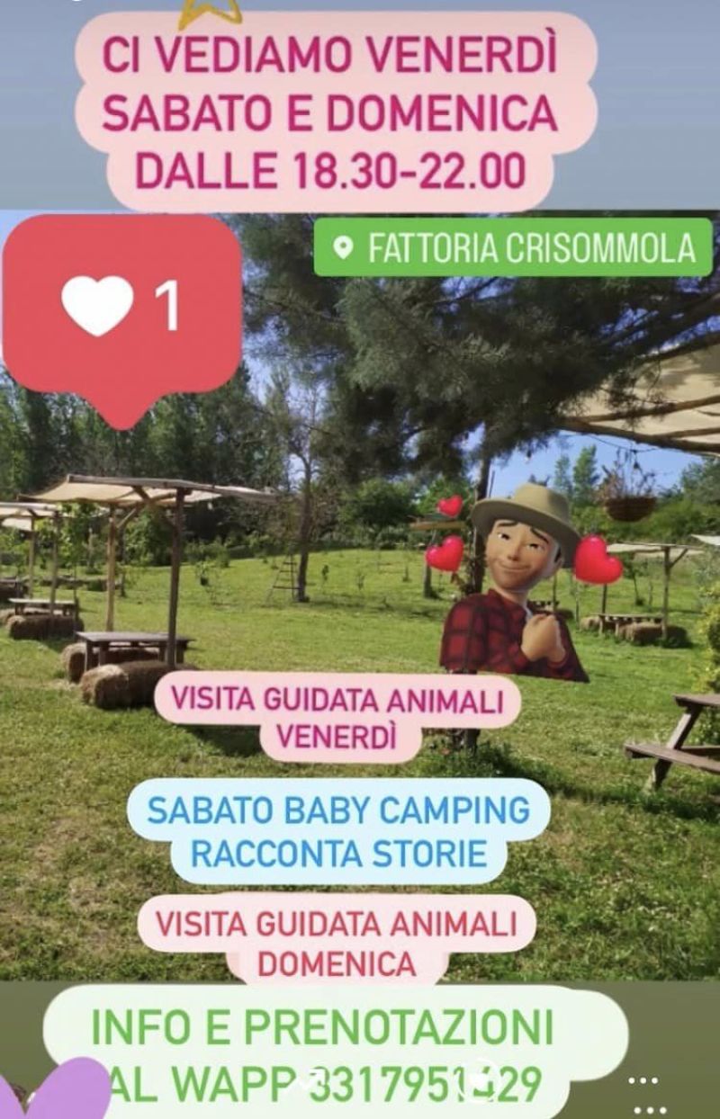 Visita Guidata Animali - Fattoria Crisommola aff. Acli Napoli (NA)