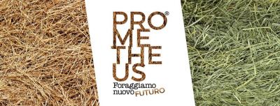 Prometheus - Associazione “Prometheus Falci” affiliata Acli Cuneo (CN)