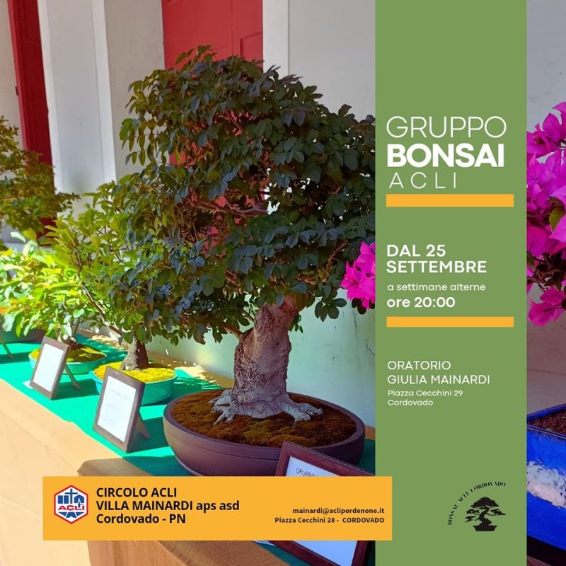 Gruppo Bonsai Acli - Circolo Acli Villa Mainardi Cordovado (PN)